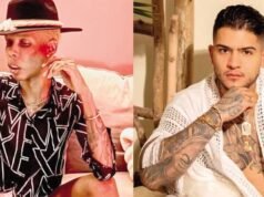 墨西哥當局逮捕了這起謀殺案的兇手 – Publimetro Columbia