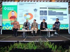 IIF支持可再生能源投資,加速綠色轉型