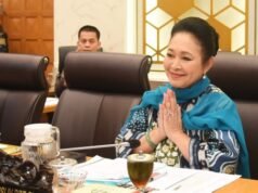 蒂蒂克·蘇哈托沒問題 蘇哈托英雄稱號的利弊:這是一個民主國家