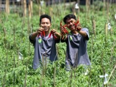 2026 年農業願景:從自給自足到可持續糧食系統