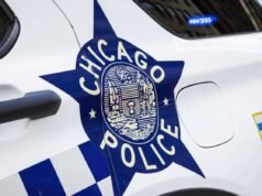 女子在富勒公園闖紅燈撞上警車