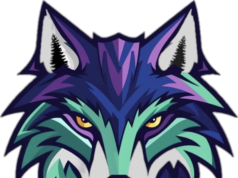 Wolfpack 簽下李博橋 – 我們的體育中心