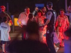 在邦迪海灘致命襲擊中製服武裝男子的旁觀者被譽為英雄