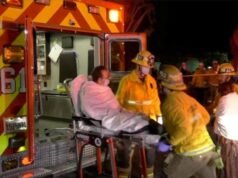 猶太節日期間悉尼海灘發生槍擊事件,造成 10 人死亡。槍手被殺