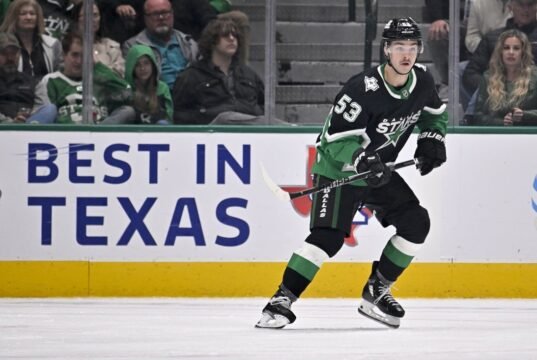 NHL 綜述:懷亞特·約翰斯頓(3 球),明星英鎊參議員