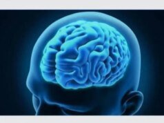 這種天然成分可維持健康的神經組織,提高記憶力和注意力