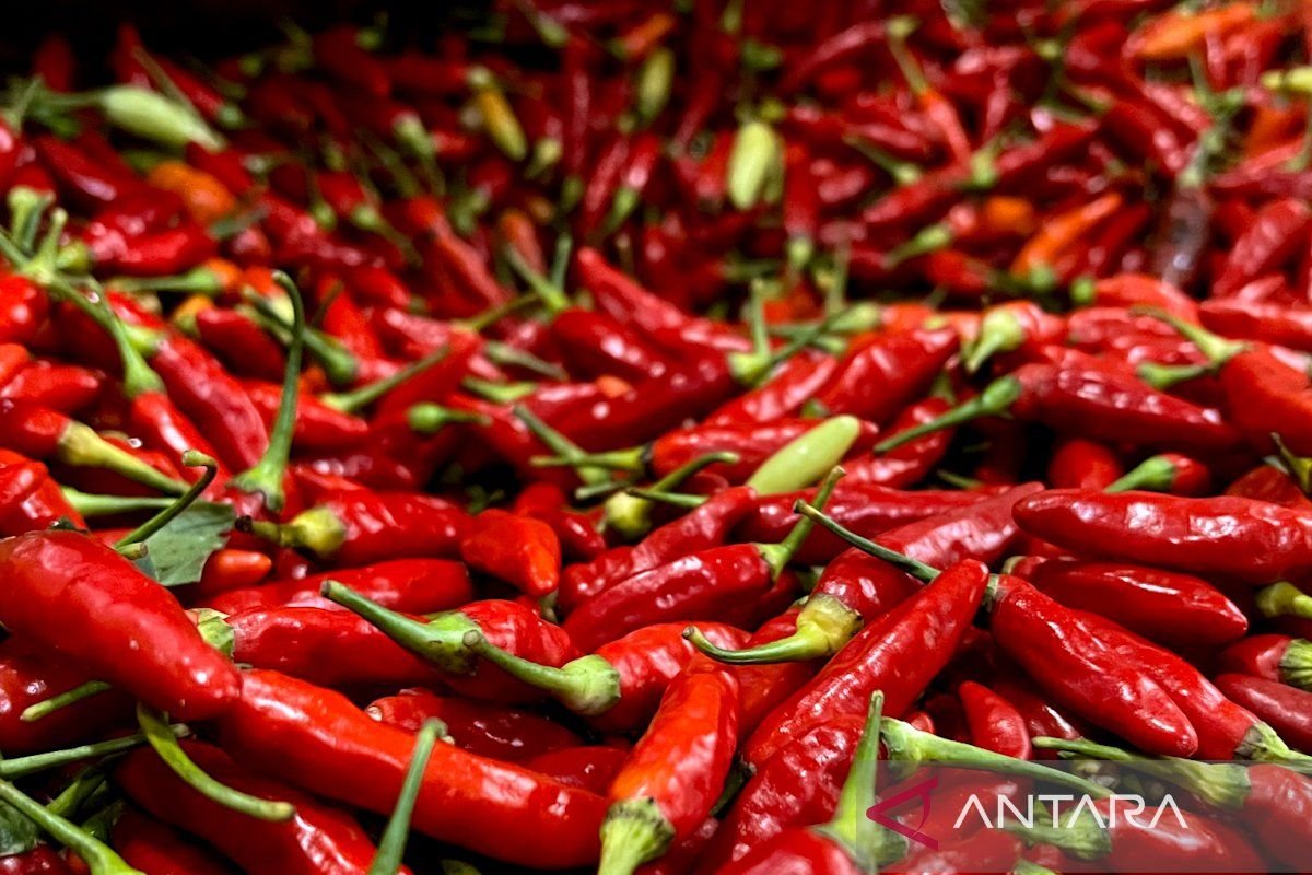 PIHPS：紅紅辣椒價格 IDR 45,000/kg，雞蛋 IDR 29,000/kg