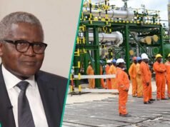 丹格特對石油黑手黨表示恐懼,揭露煉油廠價值 8200 萬美元的資產被盜事件