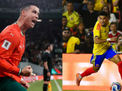 哥倫比亞對陣葡萄牙,這場世界杯比賽門票多少錢? – 哥倫比亞公共地鐵