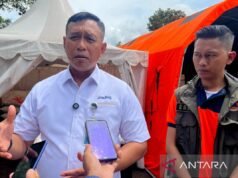 布洛格總裁董事:聖誕新年前印尼東部毛利率將得到加強