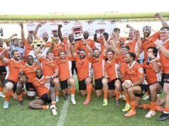 獵豹、獅子準備迎接歐洲挑戰