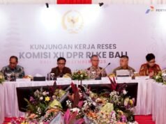 BPH Migas 和 DPR RI 負責監督巴厘島地區的能源供應準備情況