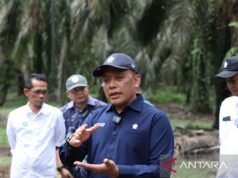 PTPN IV 生產的四款 KUD 獲得 RSPO 認證