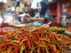 Bapanas:紅辣椒價格為 70,534 印尼盾/公斤,青蔥價格為 46,516 印尼盾/公斤