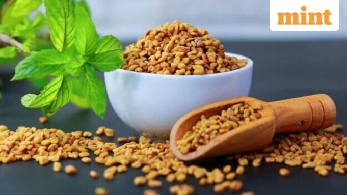 Fenugreek_1765713320326_1765713320404.jpeg