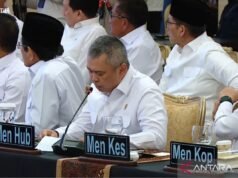 自然增長期間,政府為1.195億人提供了交通服務