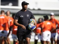 JP 相信鯊魚能夠重新發現它們的咬傷