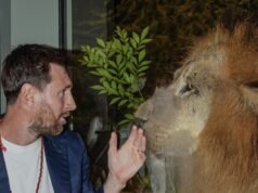 當獅子遇見山羊:梅西參觀萬塔拉野生動物保護區,稱其“真正令人印象深刻”