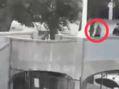 英雄警察用“一生一次的槍殺”從樹後偷偷溜出來的邦迪海灘恐怖分子