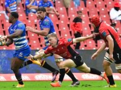 風暴者將懲罰鬆散的獅子