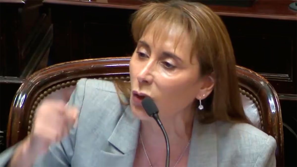 “Mamarracho”：預算辯論中參議員之間的強烈分歧