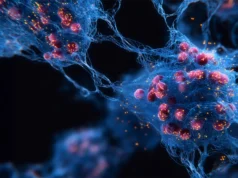 一名研究生的瘋狂想法導致老齡化領域取得重大突破