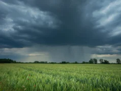 科學家發現隱藏的降雨模式可以重塑農業