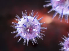 研究人員發現了可能加劇新冠病毒長期傳播的病毒嫌疑人