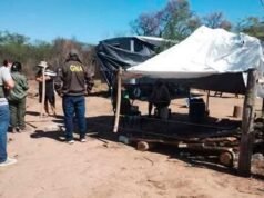 維萊拉發現勞動力剝削:四名農場工人生活條件不穩定