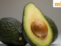 鱷梨籽茶:配方、健康益處以及您需要了解的一切