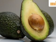 腸道健康:嘗試這七種食物來增強您的消化系統並改善整體健康