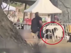 恐怖襲擊後,忠誠的狗邦迪站在主人的屍體旁,令人心碎