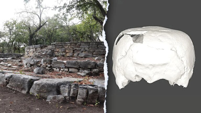 墨西哥的一項考古發現中發現了一個擁有 1,400 年曆史的立方體頭骨。