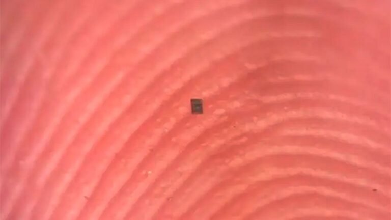 他們創造了世界上最小的可編程機器人：它比一粒鹽還小，並且“思考和行動”
