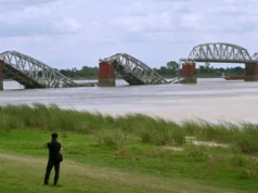 這次罕見的地震實現了科學家們所希望看到的一切