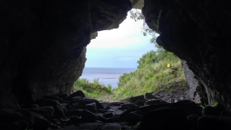 古代狼只能乘船到達這個島