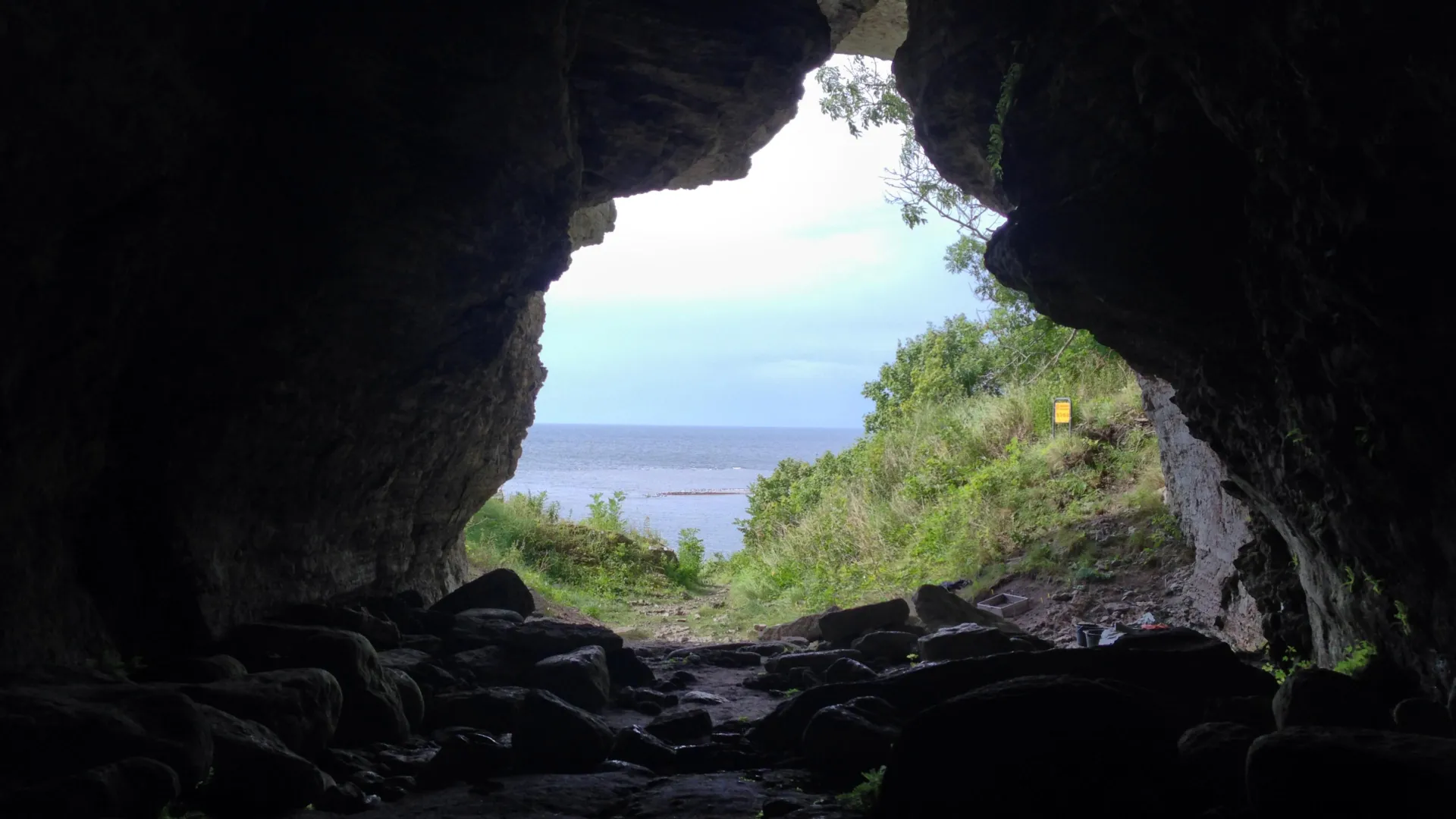 古代狼只能乘船到達這個島