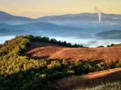 意大利一座城市將向外國人支付一半的租金
