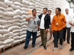 Bulog NTB 的目標是到 2026 年吸收 240,660 噸大米