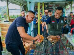茂物市政府開發由 MBG 提供的基於 LPM 的蛋雞養殖
