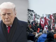 法國體育部長呼籲抵制世界杯 格陵蘭協議的原因