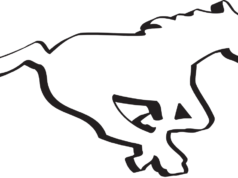 奧奈卡與 Stampeders 重聚 – 美國體育中心