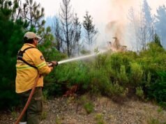 丘布特省火災:洛斯阿勒塞斯國家公園介入乾預