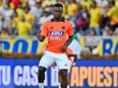 馬里諾·希內斯特羅薩在令人失望地抵達博卡後打破了沉默,並指出了責任人