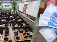 股市開周利潤 34.5 億奈拉,湧現 5 家頂級公司