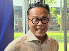 Danantara 的目標是到 2026 年將 15 個保險 BUMN 完全減少到 3 個