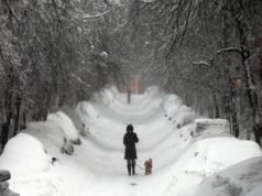 冬季風暴混亂:美國超過 14,000 架航班取消