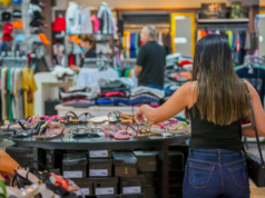 2026 年參議院議程