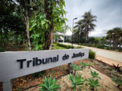 FGV 系統故障後 TJ-MS 延長上訴期限