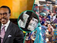 Rewane 預測 2026 年尼日利亞奈拉疲軟、債務上升和新機遇